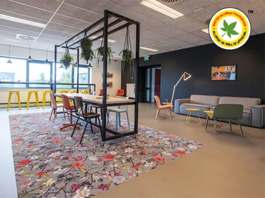 Flotex Marmoleum Allergy UK